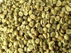 Robusta Green Coffee Beans