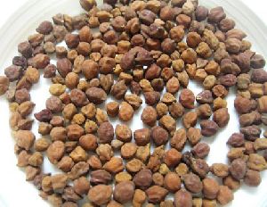 Black Chickpeas