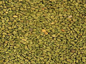 Green Fenugreek Seeds