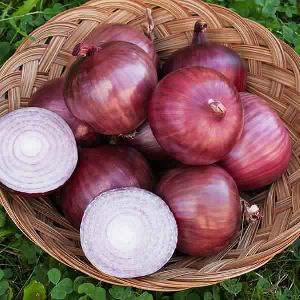 Onion