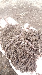 warmi compost organic fartiliser