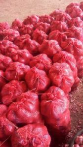 Fresh Red Onion