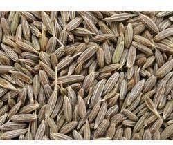Organic Cumin Seeds