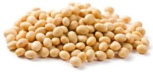 Organic Soybean Seeds