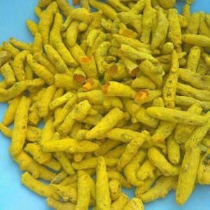 Single Polished Turmeric Finger