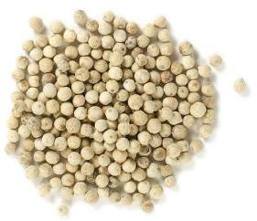 Dried White Pepper Seeds