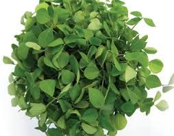 Fresh Fenugreek Leaves