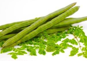 moringa drumstick