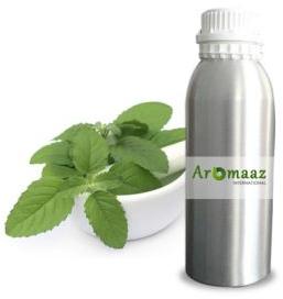 Basil Essential Oil