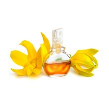 Ylang Ylang Oil