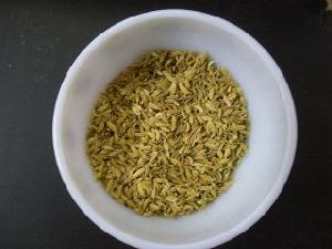 Fennel Seeds