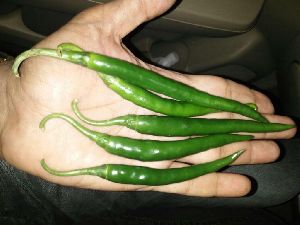 Green Chili