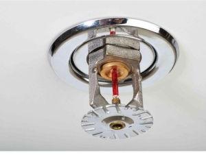 Pendent Fire Sprinkler