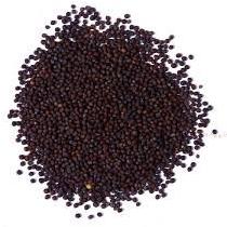 Black Mustard Seeds