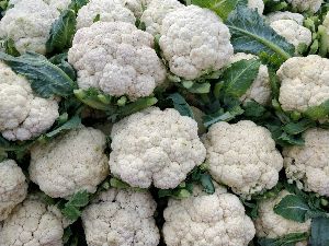 Fresh Cauliflower