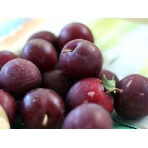 Fresh Plum