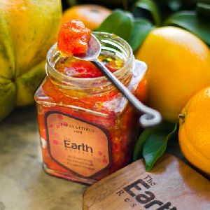 All Natural Papaya Citrus Jam