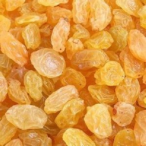 Fresh Golden Raisin