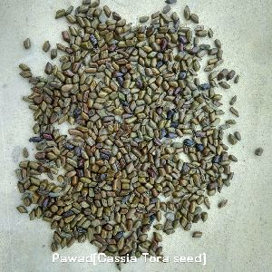Pawad Seeds