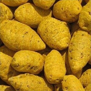 Dried Turmeric Bulbs