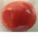 Red Coral Gemstone