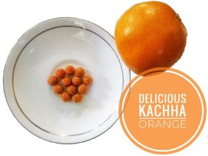 Surbhi Kachha Orange Orange