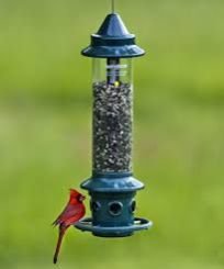 Bird Feeder