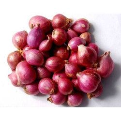 Fresh Red Onion