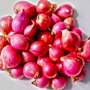 Sambar Onion