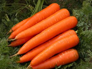 Fresh Carrot