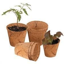 Coir Pot