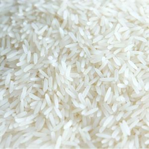 Arwa Rice