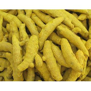 Raw Turmeric Finger