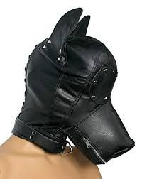 leather dog