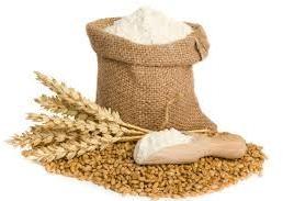 natural wheat flour