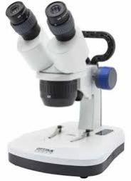 Stereo Microscope