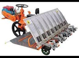 Transplanter