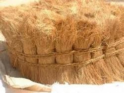 bristle coir fibre