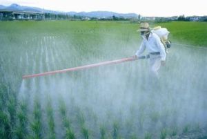 Insecticides