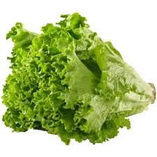 Lettuce