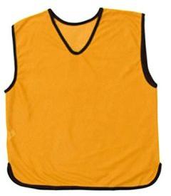 Sports Training Bibs