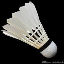 Badminton Shuttlecock