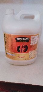 Reeno-Forte Kidney Tonic