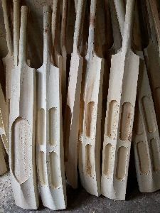 Scoop Cricket Bat