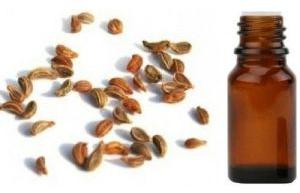 Tomar Seed Oil