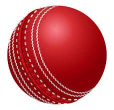 Cricket Ball