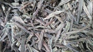 Organic Dried Hadjod Stems