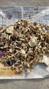 Organic Dried Mushroom