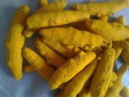 Turmeric Finger