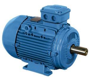 Electric Motor